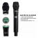 MICROFONE DYLAN SEM FIO SIMPLES TRUE DIVERSITY D-9501