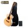 Violão Rozini Aço Tampo Sólido Premium Mini Profissional Rx120atn FISHMAN