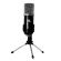 Kit Microfone Condensador Soundvoice Soundcasting Lite 800