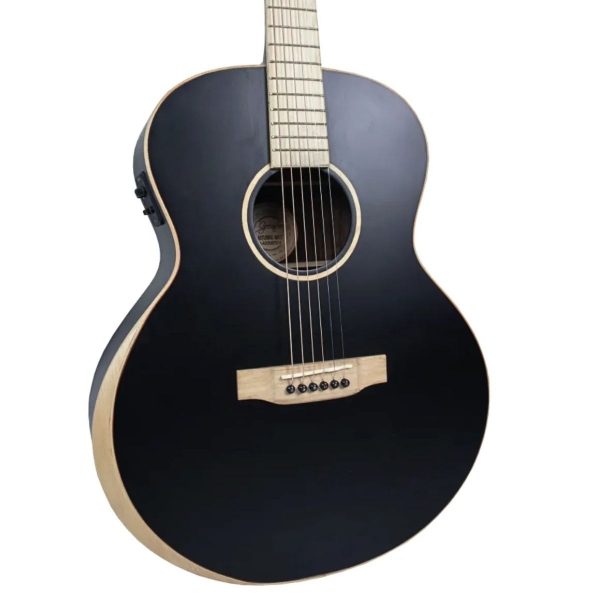 VIOLAO GONZALEZ AÇO ELETRICO FOLK ASTURIAS MATT