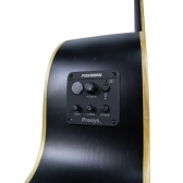 VIOLAO GONZALEZ AÇO ELETRICO FOLK ASTURIAS MATT