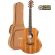 Violão Elétrico Taylor Gs Mini E Koa C Bag Com Nota Fiscal GS Mini