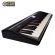 Piano Digital Roland Go Piano Go-61p C Bluetooth Go61p