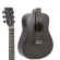 VIOLÃO STRINBERG FS2B TOS
