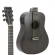 VIOLÃO STRINBERG FS2B TOS