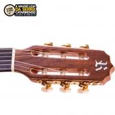 Violão Rozini Nylon Tampo Sólido RX210.AC.F.LP FOSCO