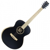 VIOLAO GONZALEZ AÇO ELETRICO FOLK ASTURIAS MATT