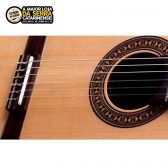 Violão Rozini Nylon Tampo Sólido RX 213 ACN Clássico Acústico Elétrico