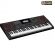 Teclado Casio Arranjador CT-X5000 Com 61 Teclas Sensitivas Com Fonte- Nota fiscal e Garantia