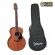 Violão Takamine Baby Gx11Com Bag