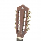 Viola Elétrica Strinberg VS25E MGS