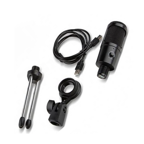 Microfone Condensador USB Soundvoice Soudcasting Lite1200